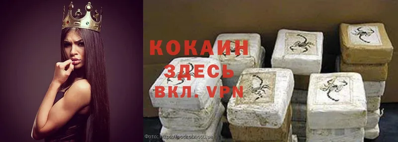 дарнет шоп  Чернушка  Cocaine Колумбийский 